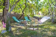 Steinhaus Fetiva mit Meerblick, Whirlpool und Sauna- ruhiger Lage ueber Makarska