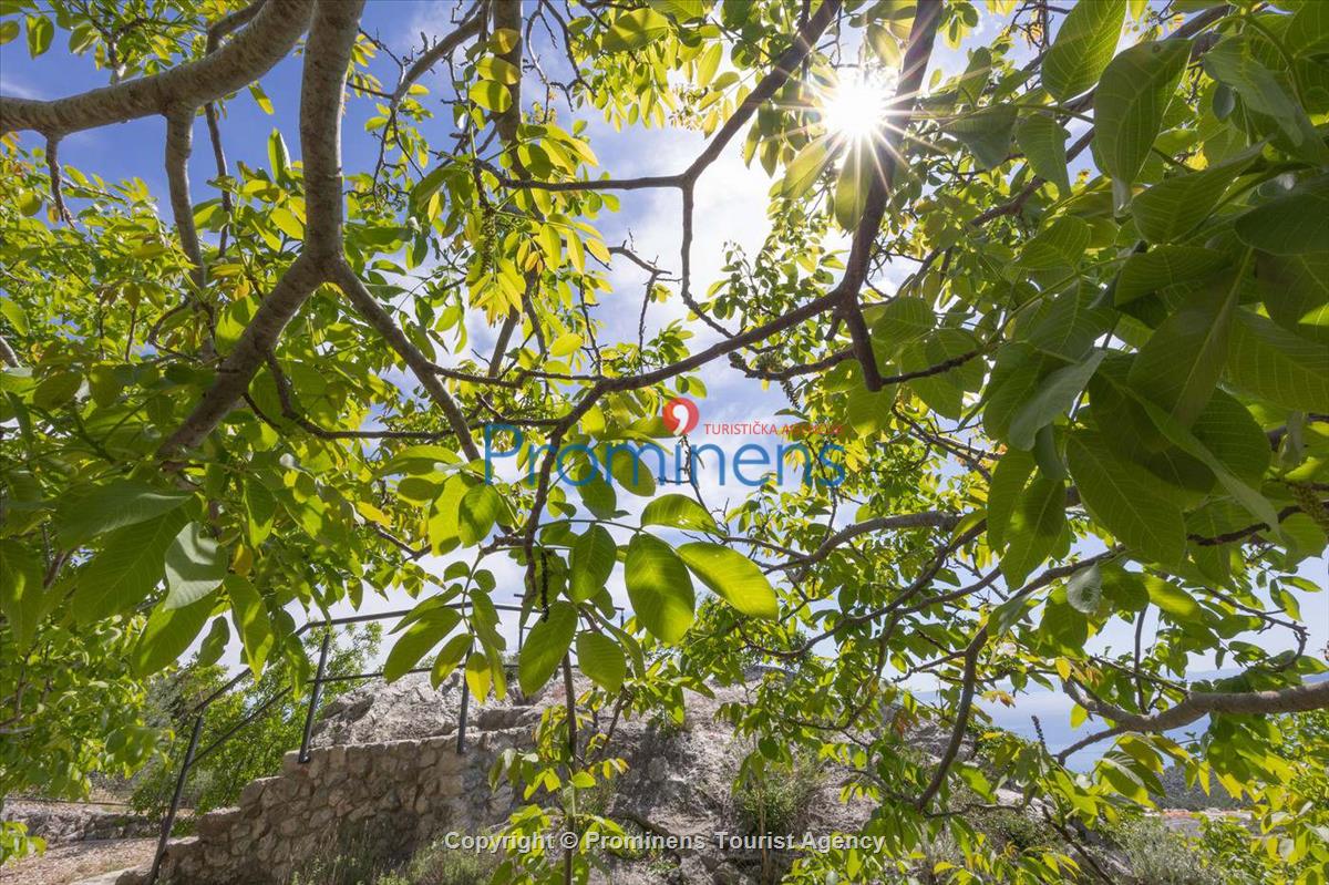 Alleinstehendes Ferienhaus Tome mit Meerblick oberhalb von Makarska