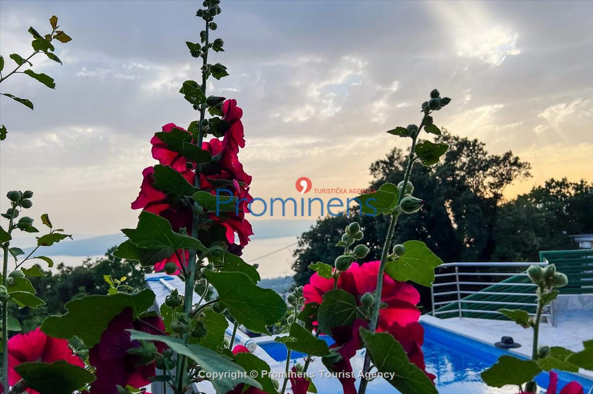 Ferienhaus Giran mit Pool und Meerblick in Bast  Makarska Riviera  Dalmatien;  Kroatien, Urlaub