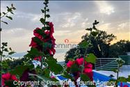 Ferienhaus Giran mit Pool und Meerblick in Bast, Makarska Riviera, Dalmatien - Kroatien Urlaub