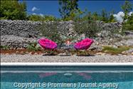 Entspannen Sie in der Ferienvilla Danica an der Makarska Riviera  Urlaub in einer komfortablen  alleinstehenden Villa mit privatem Pool 