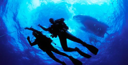 Scuba Diving - Ronjenje Makarska Rivijera